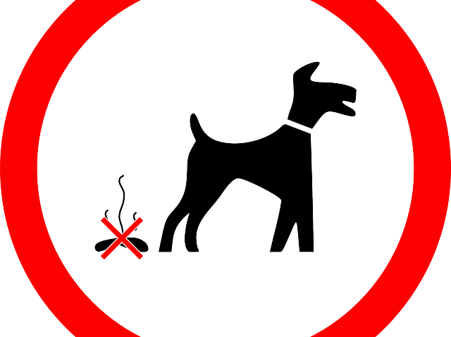 Of All The Offensive And Annoying Habits That Man's (640x478), Png Download