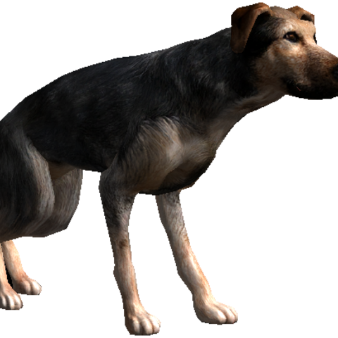 Bestiary Dog Full - Schleich Shire Horses (480x480), Png Download