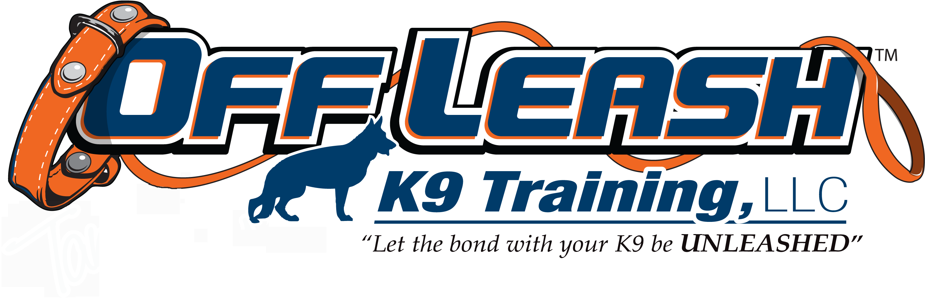 Chicago Offleash K9 Dog Training - Off Leash K9 Training (3030x1006), Png Download