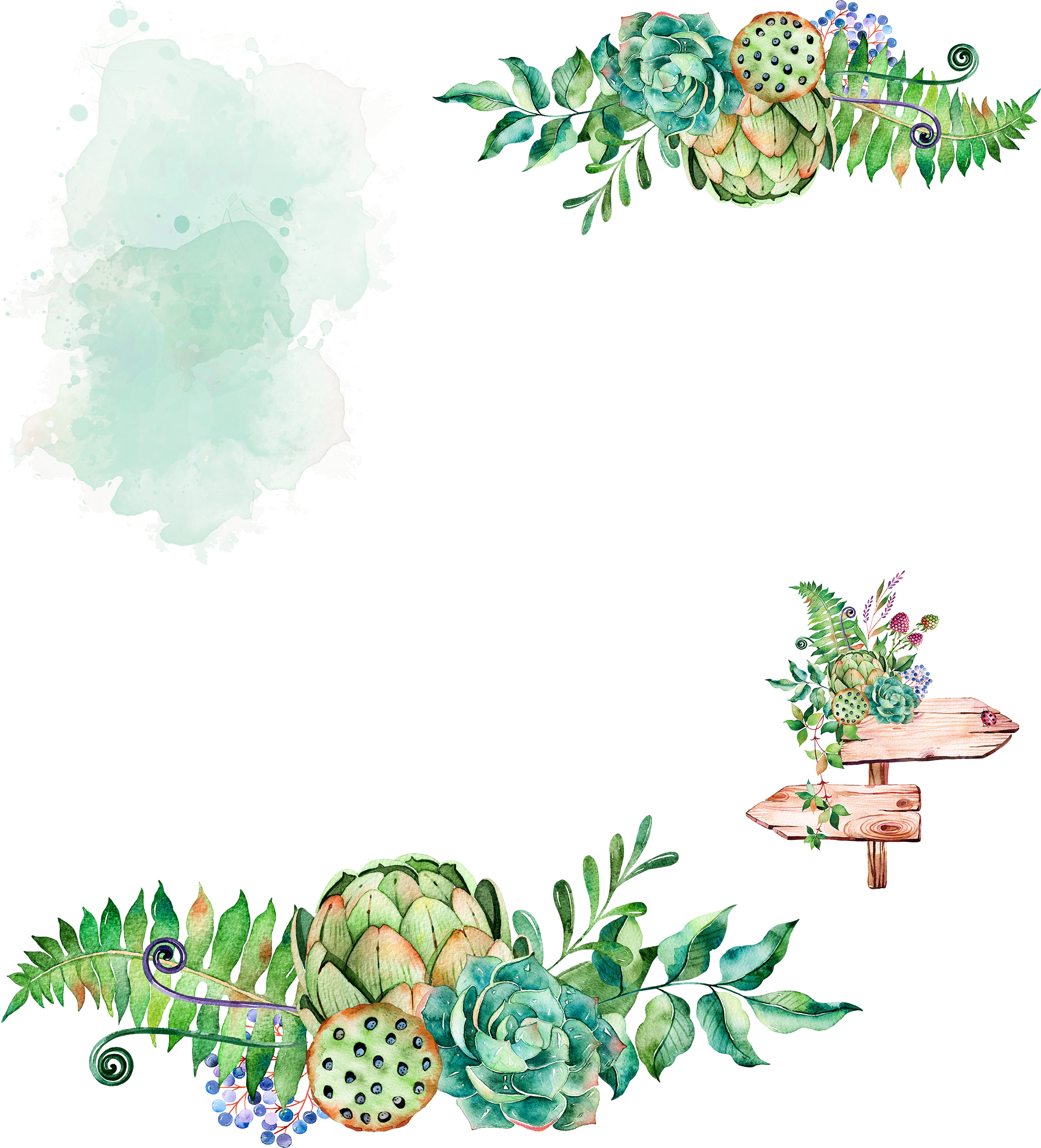 Plant Watercolor Painting Cactaceae Lily Lotus Sign - Transparent Watercolor Succulent Png (2000x2205), Png Download