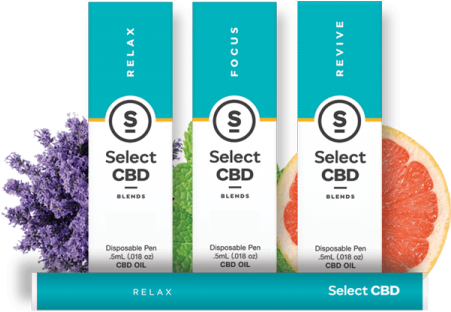 The Melting Pot World Emporium & Smoke Shop, Select - Live Fearlessly: A Study In The Book (450x320), Png Download