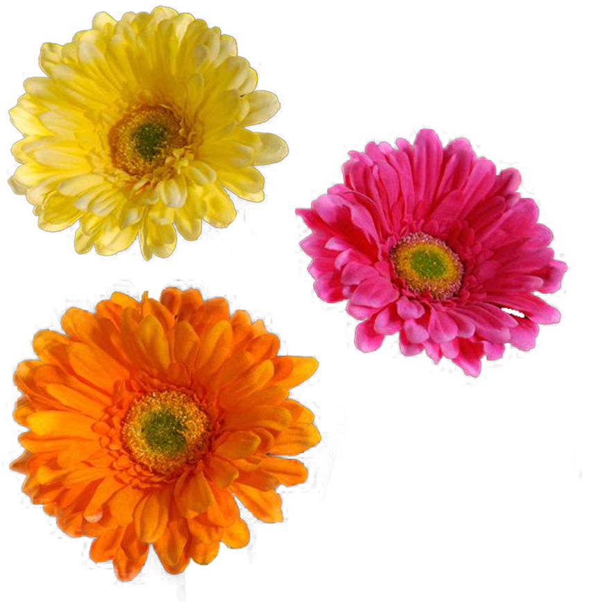 Real Flower Png Jpg Stock - Flower (900x900), Png Download