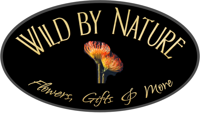 Wild By Nature - Lingzhi Mushroom (650x367), Png Download