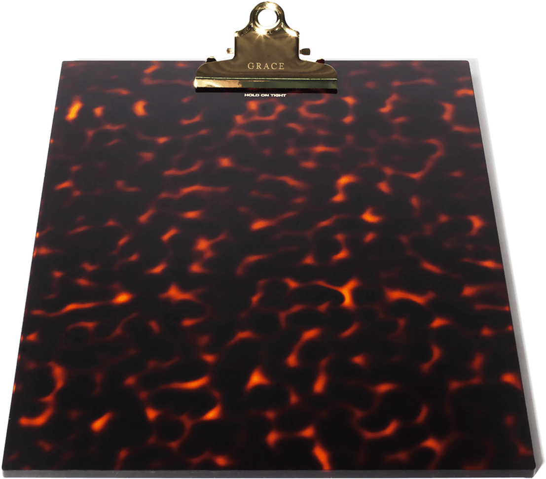 Tortoise (1248x1200), Png Download