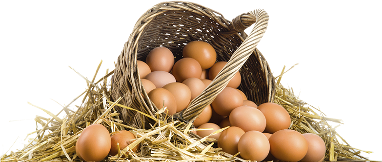 Banner Ovos De Galinha (803x341), Png Download