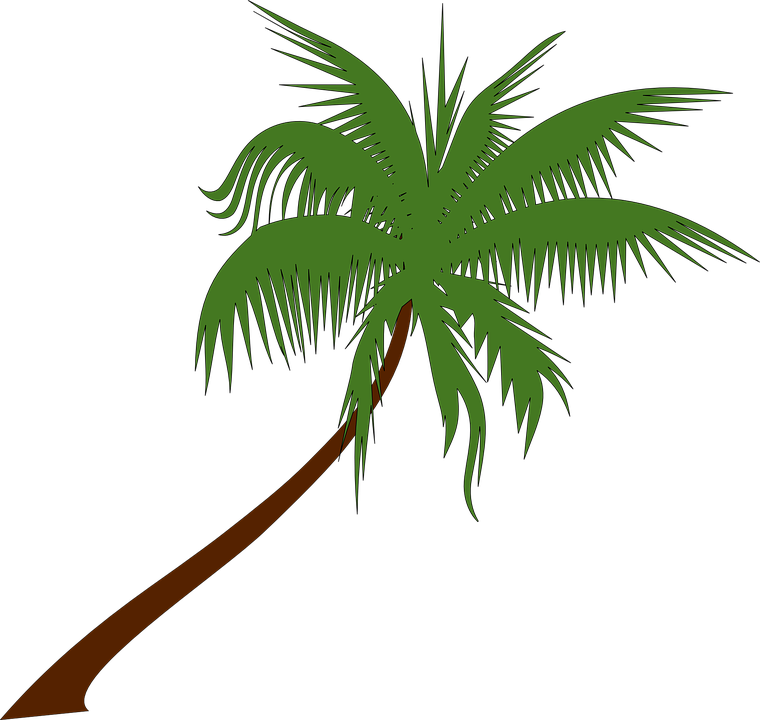 Free Vector Graphic - Gambar Pohon Kelapa Png (760x720), Png Download