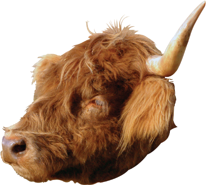 Home Food & Recipes About Our Farm News Contact Us - Fountain Grass (441x391), Png Download