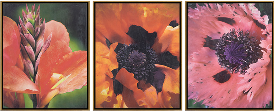 Florals I Pk/3 - Pre-kindergarten (550x550), Png Download