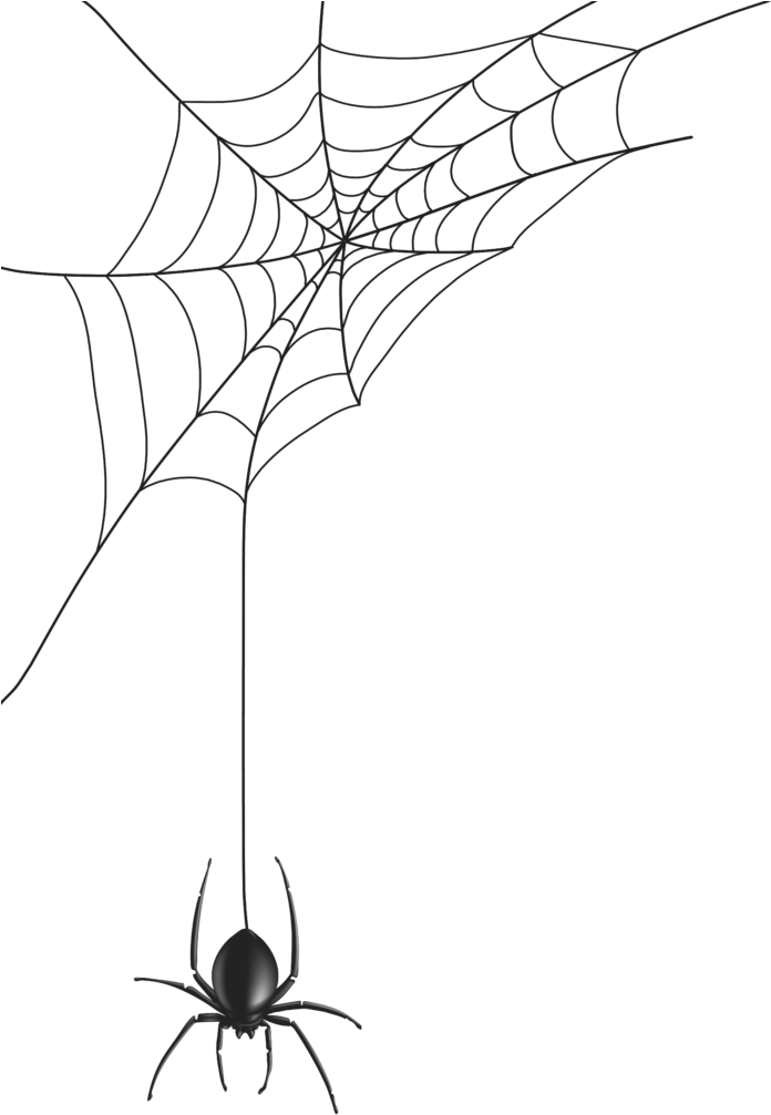 Png Library Download Spider Web Thank You Errortape - Transparent Spider Web Vector (703x1024), Png Download