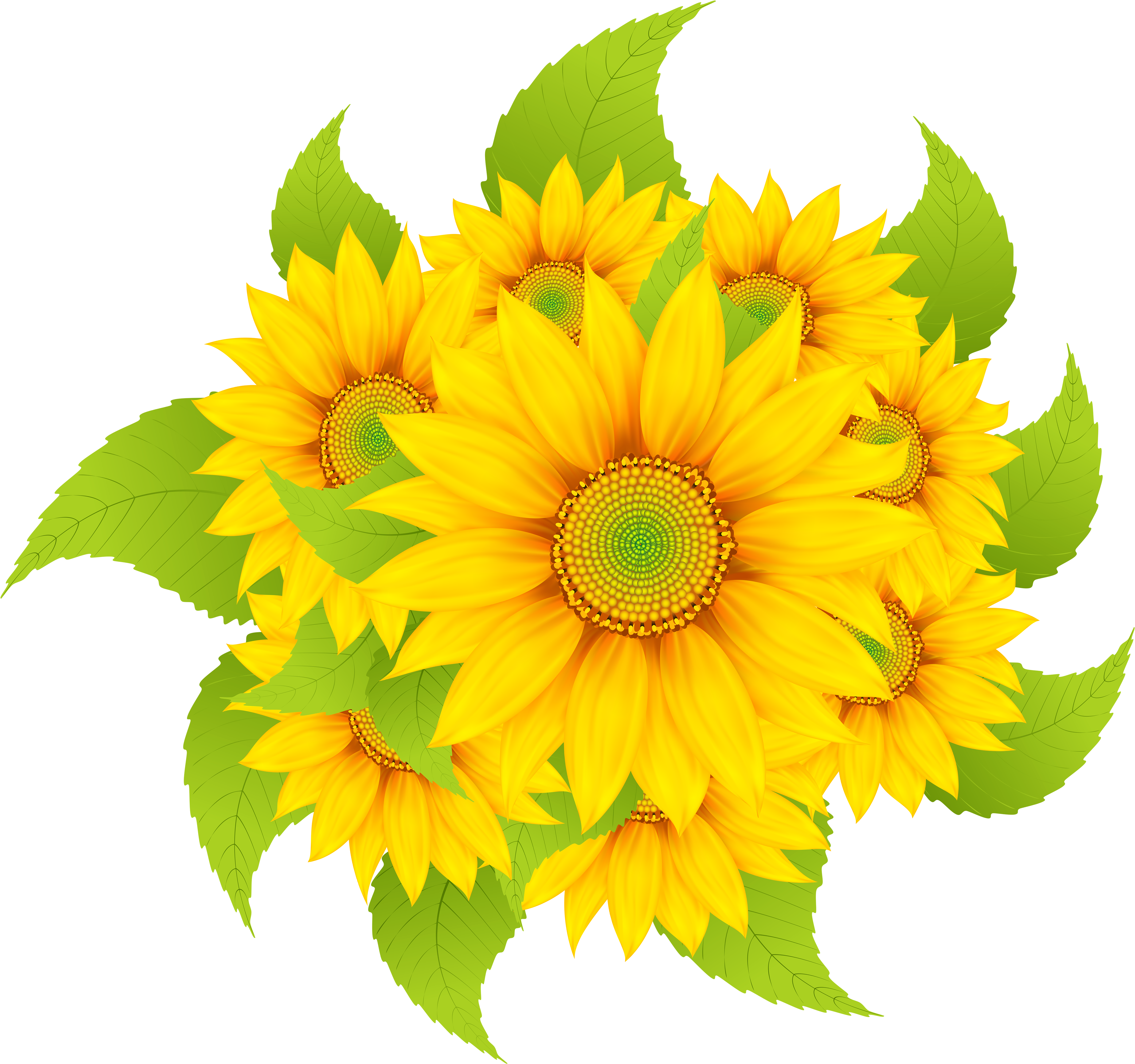 Sun Flower Decoration Border Png (5000x4652), Png Download