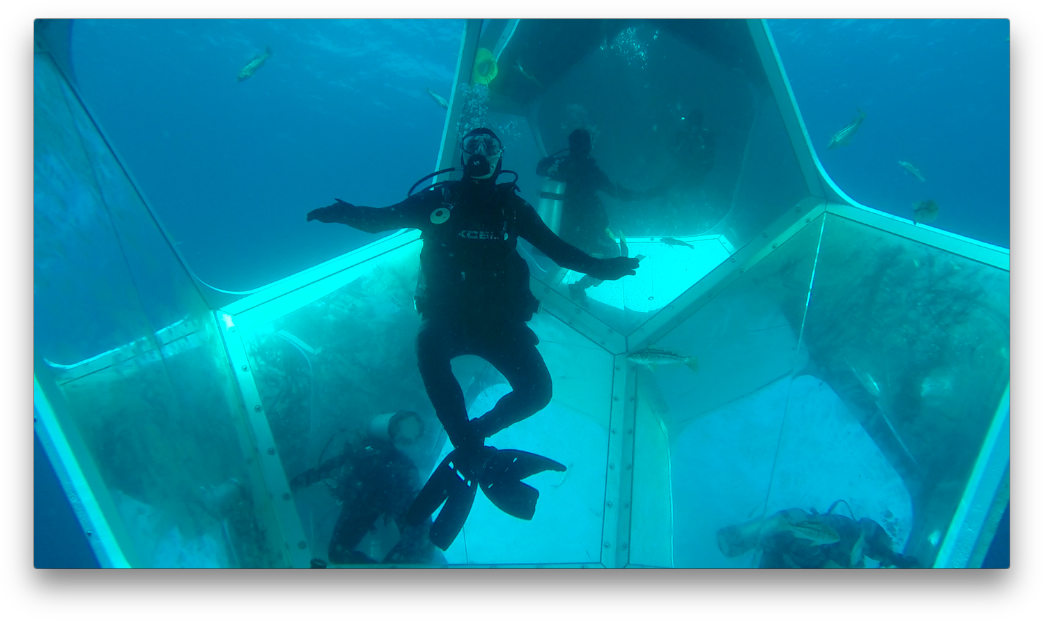 Underwater Art Installation Opens Near Catalina Coast - Catalina Underwater Art (1512x901), Png Download