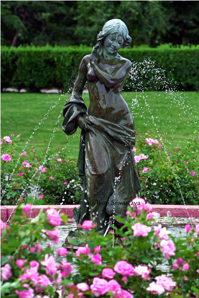 Grant Park Dove Girl (650x650), Png Download