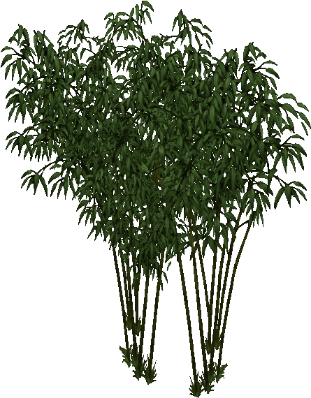 Fountain Bamboo - Wiki (569x569), Png Download