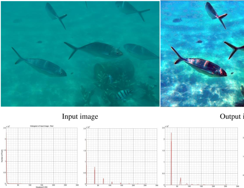 Shows An Example Of The Underwater Image, Fishes Under - Stingray (850x671), Png Download