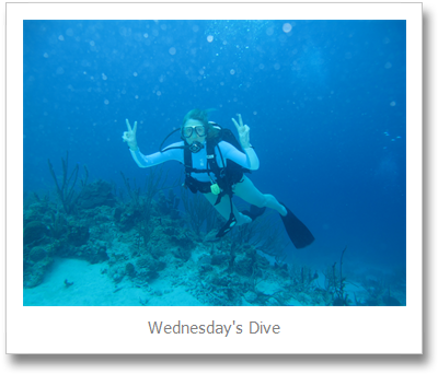 What Lies Beneath - Scuba Diving (420x361), Png Download