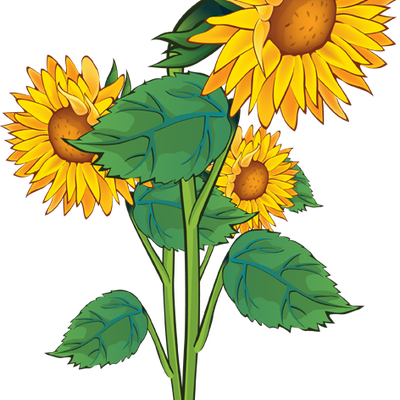 Sunflower Border Clip Art Clipart - Sun Flowers Clip Art (400x400), Png Download