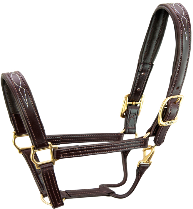 Products/s5000 Signature Halter Brwn Brwn 1 - Halter (480x384), Png Download