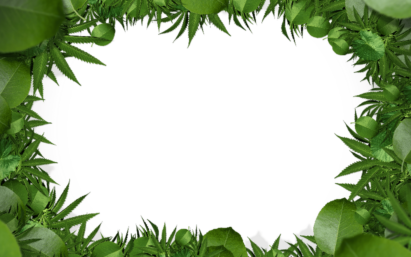 Border leaves