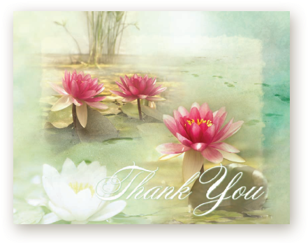 Picture - Sacred Lotus (576x360), Png Download