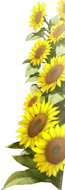 Ftestickers Flowers Sunflowers Border Freetoedit - Sunflower (240x678), Png Download