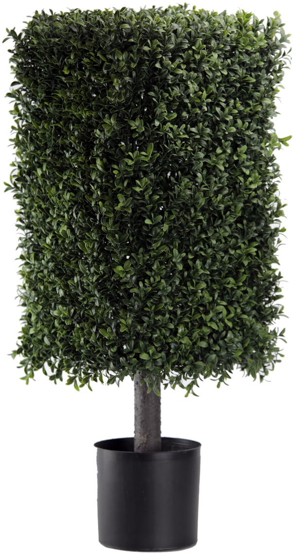 Topiary Png (853x1280), Png Download