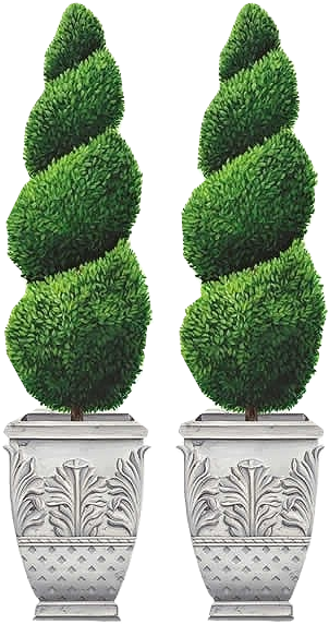 Potted Topiaries - Topiary Tree Clip Art (332x581), Png Download