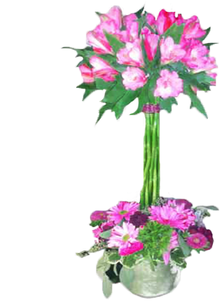 Alstroemeria Topiary - Flower (600x600), Png Download