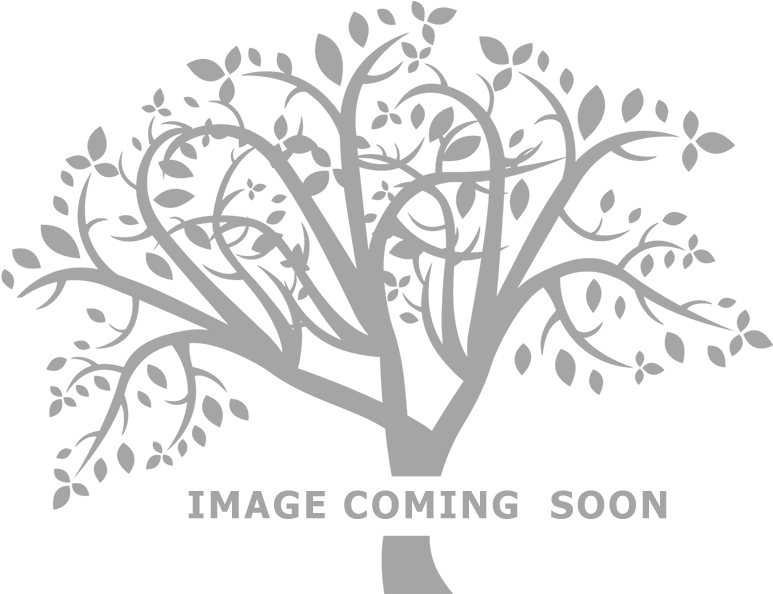 Bold, Lush Appearance From A Full Branching, Richly - Slogan On Global Warming (810x613), Png Download