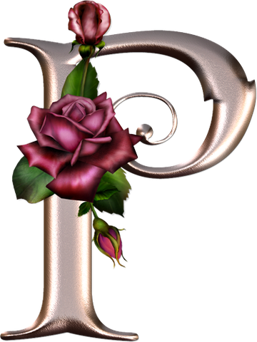 Paroth Sethkunlawong Uploaded This Image To 'az' - P Letter In Rose (360x480), Png Download