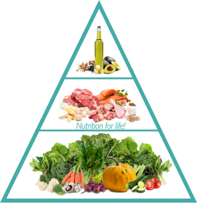 Followed By A Palm To Hand-sized Portion Of Protein - Healthy Food Pyramid 2018 (404x424), Png Download
