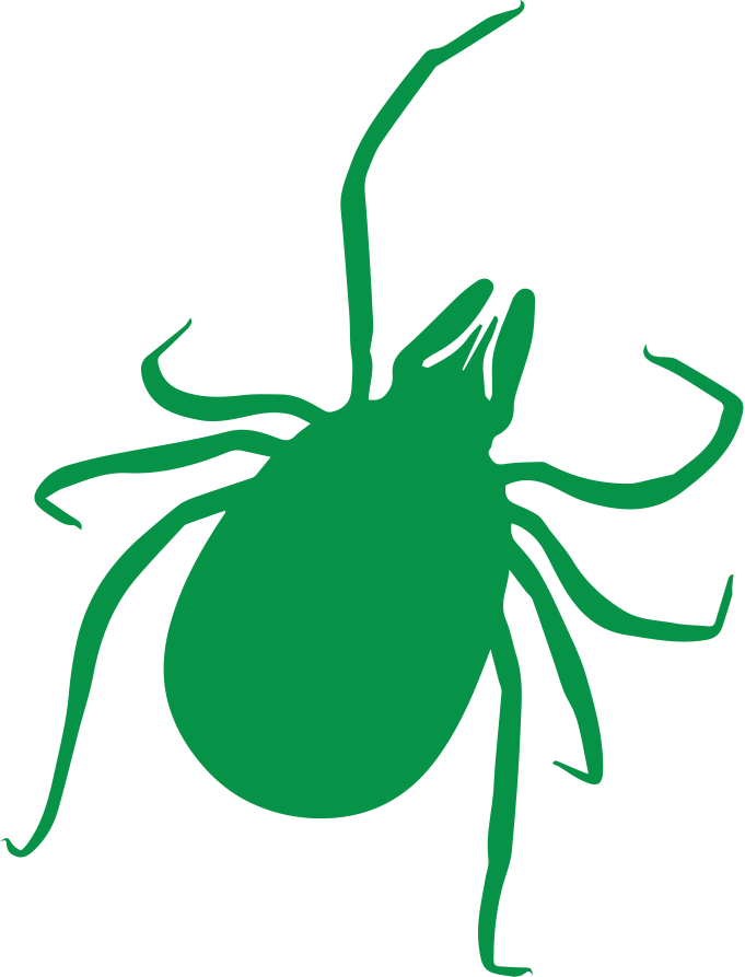 Tick (681x893), Png Download
