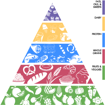 Graphic Black And White Library Grain Drawing Food - Drawing (376x376), Png Download