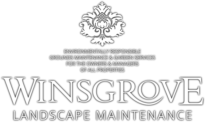 Winsgrovelogo Wt 50 - Portable Network Graphics (664x395), Png Download