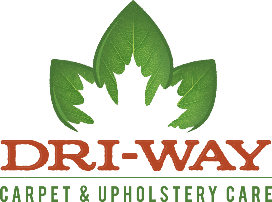 Best Carpet Cleaning Business Opportunities (917x682), Png Download