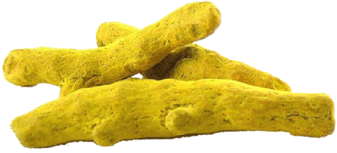 Salem Dried Turmeric Finger - Turmeric Root (500x500), Png Download