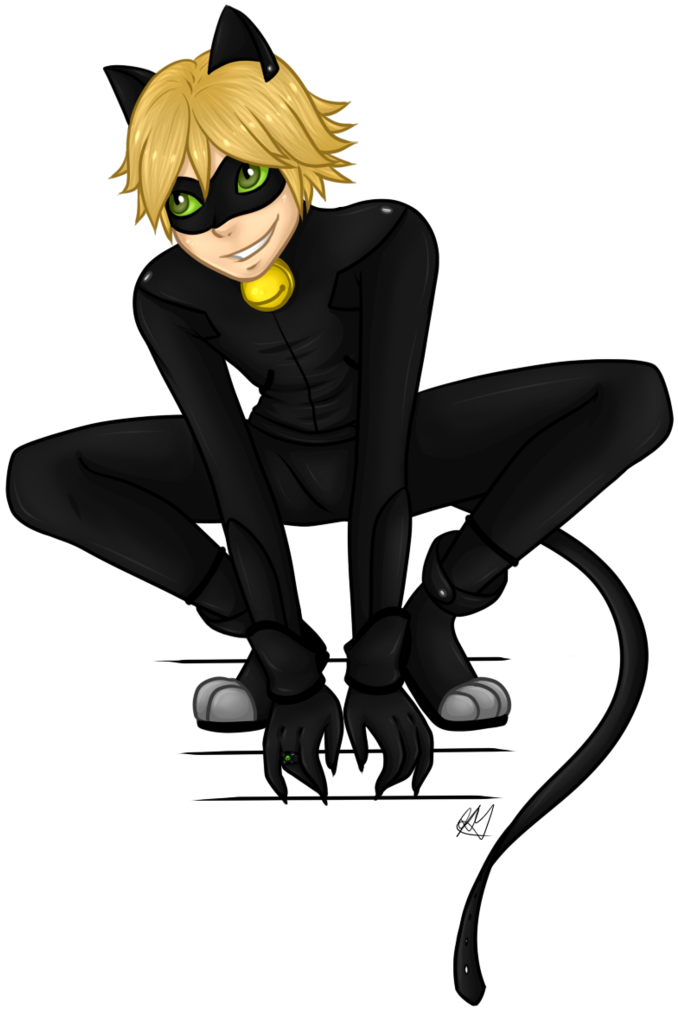 Lady Bug E Cat Noir - Camiseta Personalizada Cat Noir (778x1026), Png Download