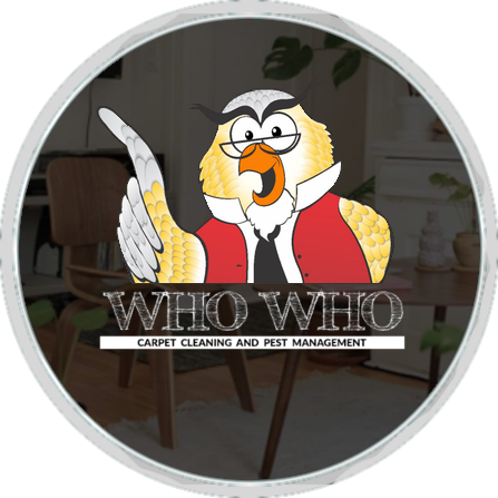 At Who Who Carpet Cleaning And Pest Management, We - Cartoon (447x447), Png Download