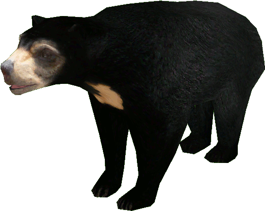 Malayan Sun Bear - Zoo Tycoon Sun Bear (545x545), Png Download