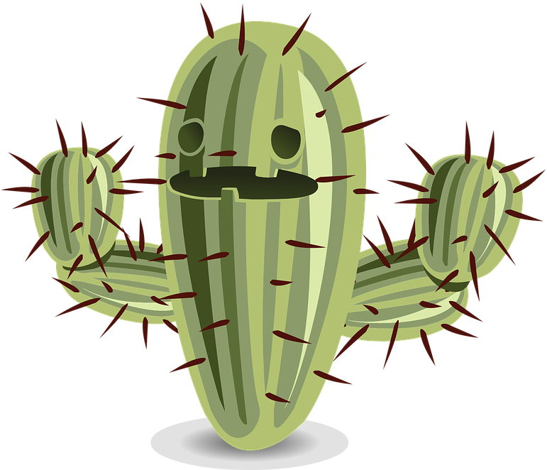 Cactus Png Clipart - Cactus Png (789x720), Png Download