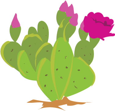 Its Cactus Week On Inaturalist Feb - Prickly Pear Cactus Clipart Png (400x400), Png Download