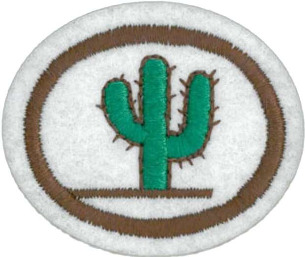Cacti Honor - Cactus (620x524), Png Download