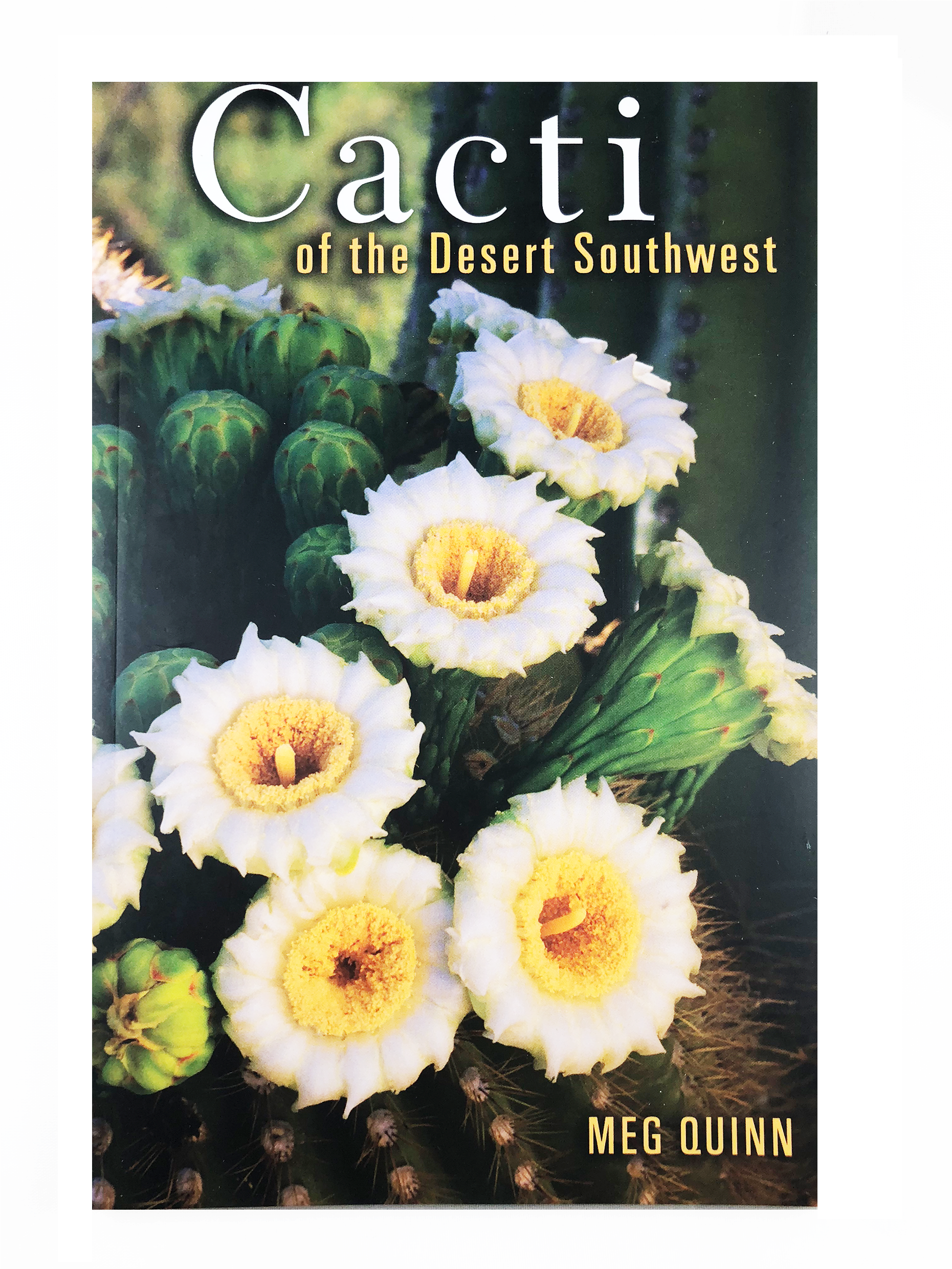 Cactus With White Spines Flowers (1200x1200), Png Download