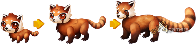 Ffs Red Panda Complete Growth - Fantasy Forest Story Red Panda (780x200), Png Download