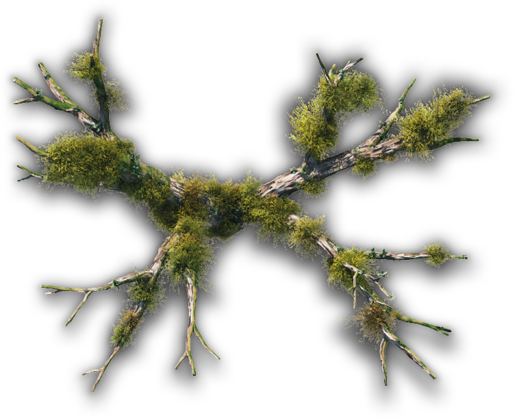 Dundjinni Mapping Software - Dundjinni Tree (740x603), Png Download