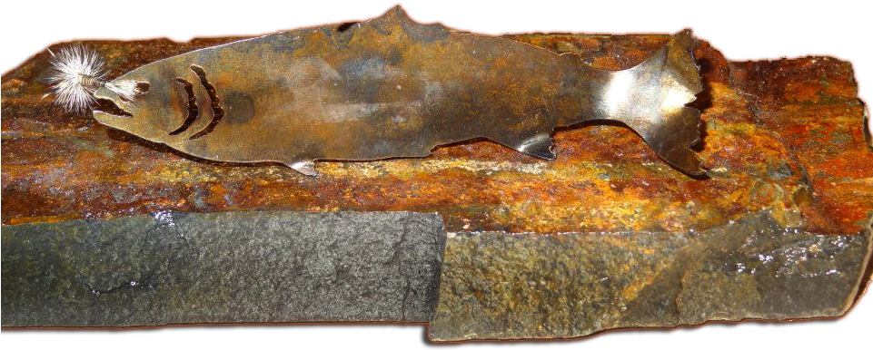 Fish Magnet Png - Portable Network Graphics (960x450), Png Download