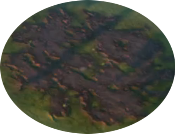 Swamp - Snake (350x350), Png Download