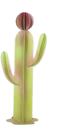 Baja Desert Cactus - Cactus (400x600), Png Download