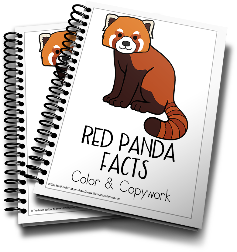 Red Panda Color And Copywork - Puppy Planner (900x983), Png Download