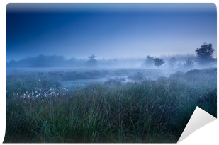 Grass (400x400), Png Download