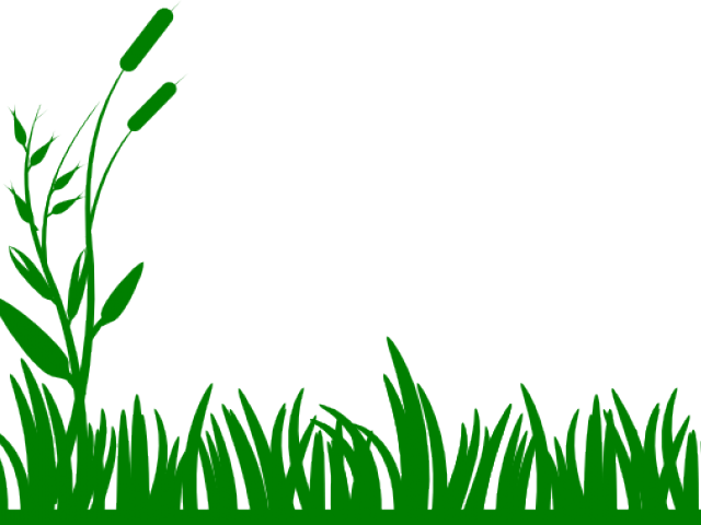 Swamp Clipart Clip Art - Grass Clip Art Black And White (640x480), Png Download